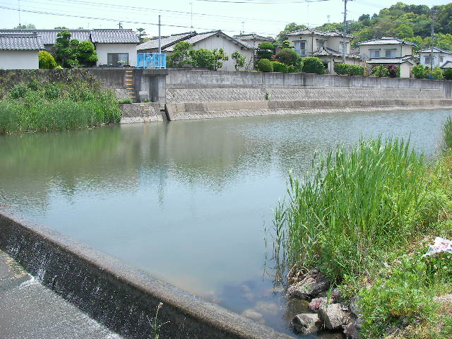 寄藻川 再び 大分黒鱒道 でかいルアーで でかいバスを追いかけるオヤジの釣行日記